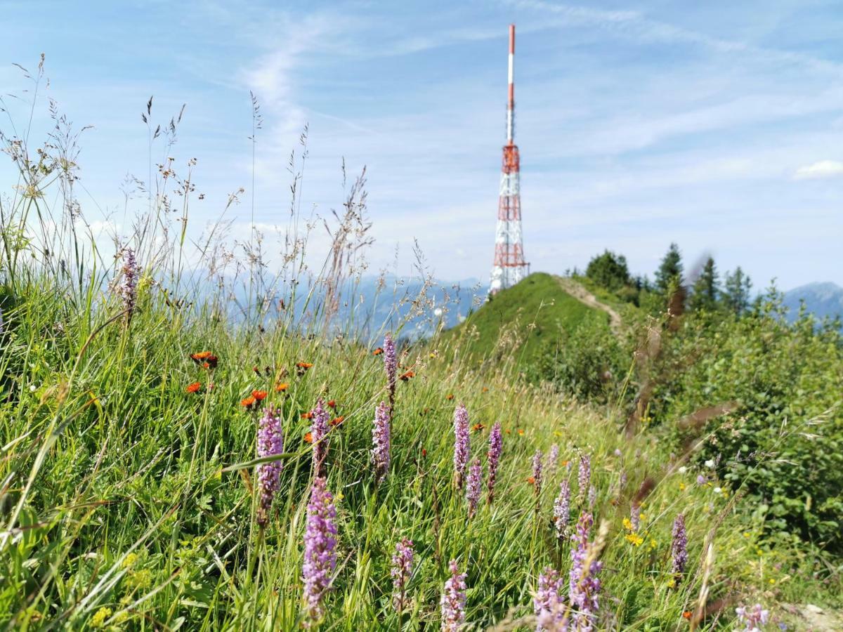 Ferienwohnung Am Eichwald Immenstadt im Allgäu Eksteriør billede